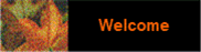 Welcome button